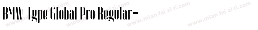 BMW Type Global Pro Regular字体转换